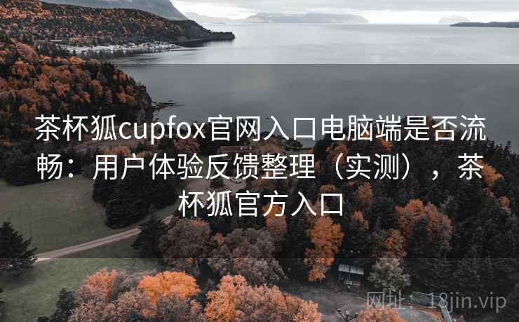 茶杯狐cupfox官网入口电脑端是否流畅：用户体验反馈整理（实测），茶杯狐官方入口