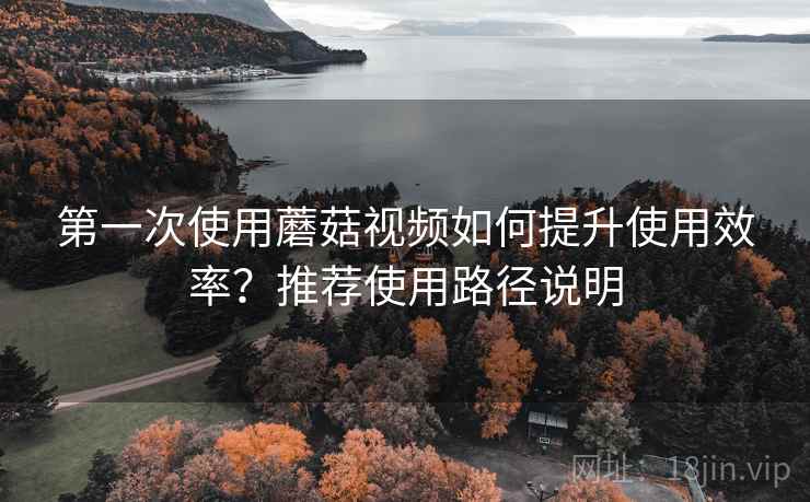 第一次使用蘑菇视频如何提升使用效率？推荐使用路径说明