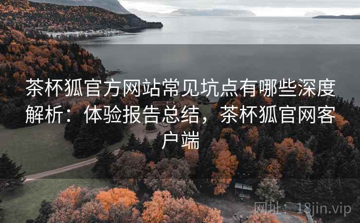 茶杯狐官方网站常见坑点有哪些深度解析：体验报告总结，茶杯狐官网客户端