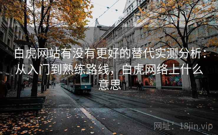 白虎网站有没有更好的替代实测分析：从入门到熟练路线，白虎网络上什么意思